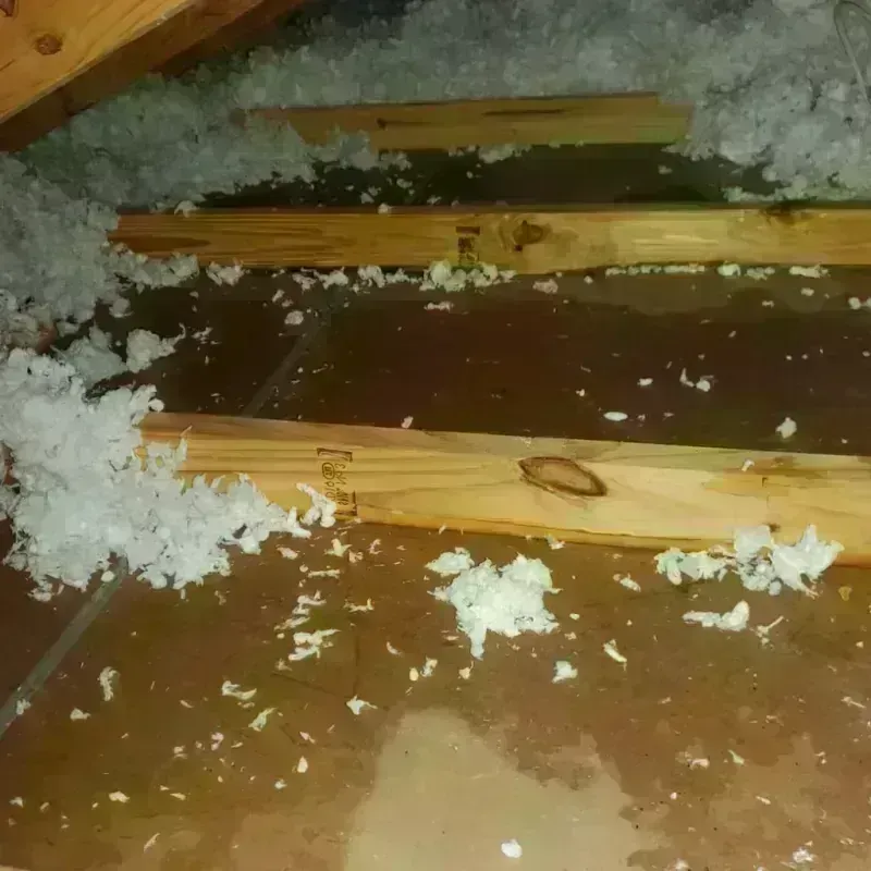 Attic Water Damage in Fayette County, GA